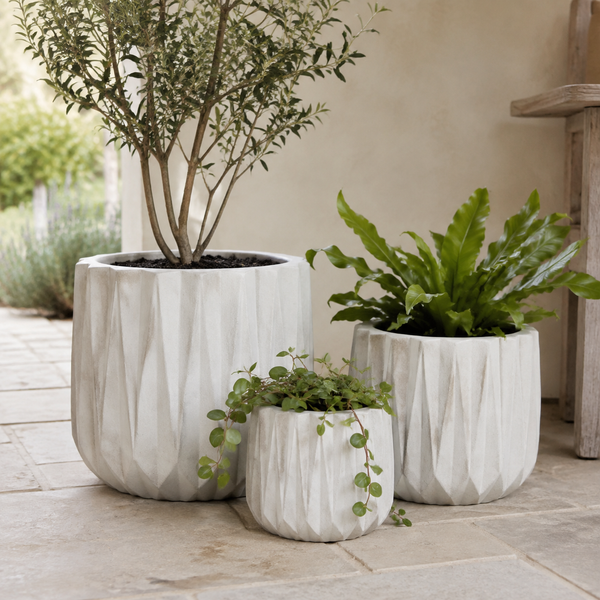 INDIE PLANTER OLIVE