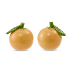 ORANGES SALT & PEPPER SHAKER SET