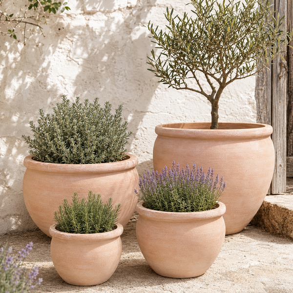 TERRACOTTA PROVINCE PLANTER