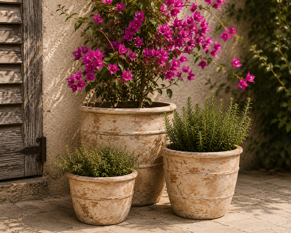 DIMITRI CONE POT