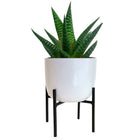 SERINA PLANT STAND 20 x 15CM BLACK