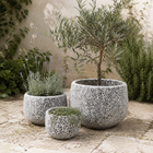 GORGEIA SQUAT ATLANTIS PLANTER