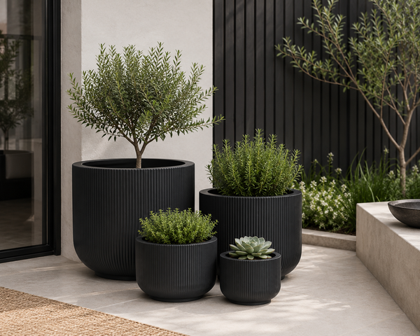 BOWEN BLACK PLANTER POT