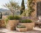 CITRUS TROUGH