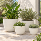 ESPERANCE EGG WHITE POT