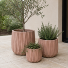 INDIE PLANTER BROWN