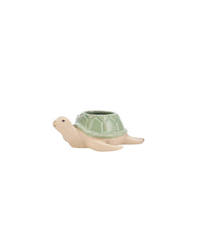 GREEN TURTLE POT