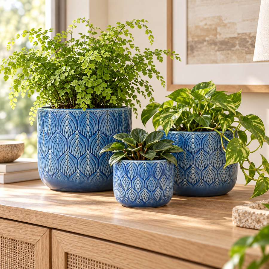 EBONY POT AQUA BLUE