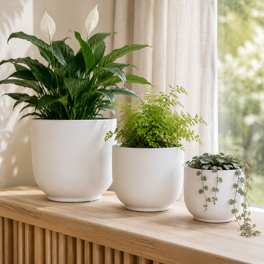 OSLO COVER POT