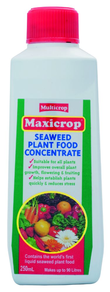 MAXICROP SEAWEED PLANT FOOD CONC 250ML
