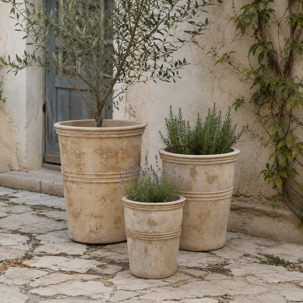 ASTRA ANTIQUA PLANTER POT