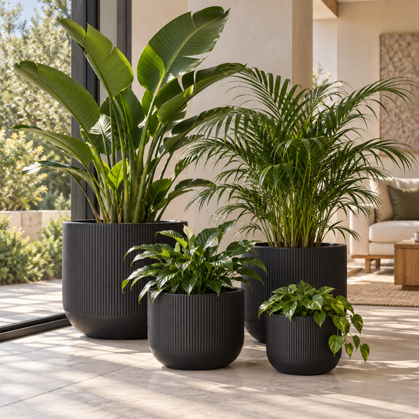 BOWEN BLACK PLANTER POT