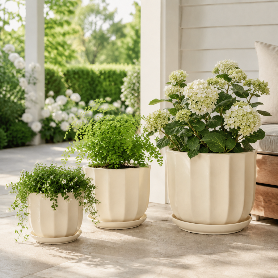 IVORY BLOOM POT