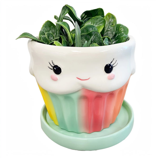 CUPCAKE MINI PLANTER