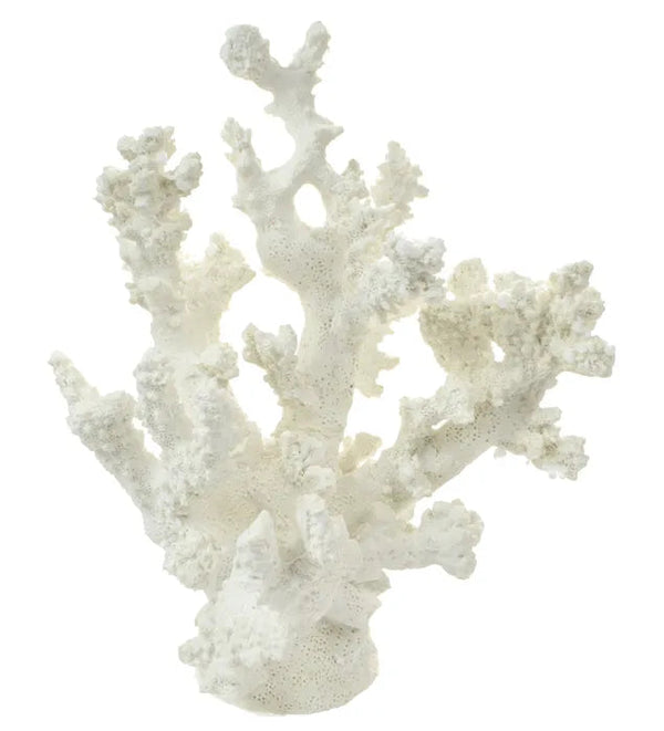 ANENOME CORAL RESIN SCULPTURE Sydney's Plant Market