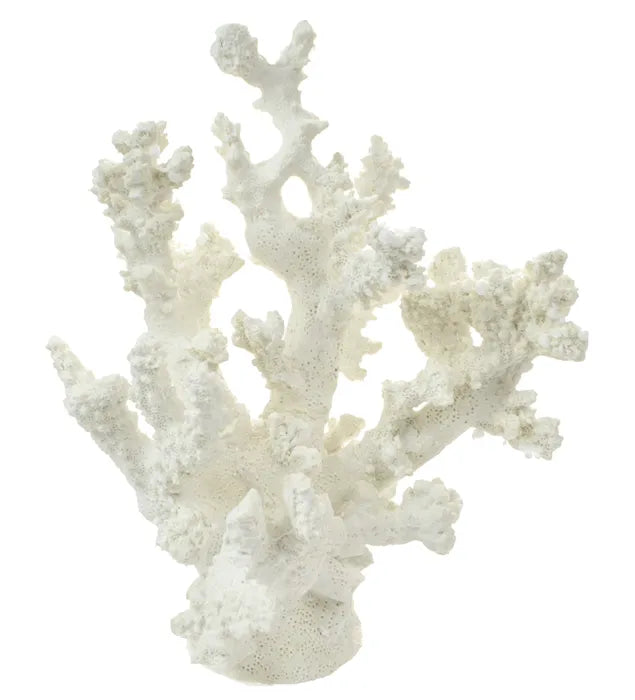 ANENOME CORAL RESIN SCULPTURE Sydney's Plant Market