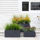 ASHER TROUGH