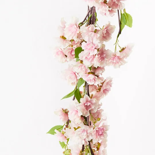 BLOSSOM CHERRY GARLAND Sydney's Plant Market
