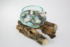 DRIFTWOOD BOWL PLANTER