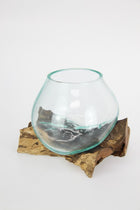 DRIFTWOOD BOWL PLANTER