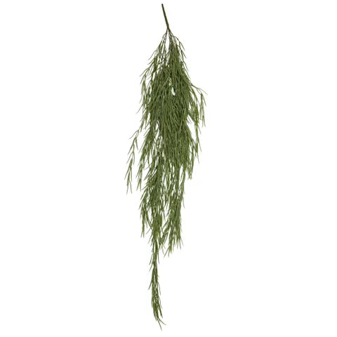 HANGING PENCIL CACTUS 8X109CM GREEN