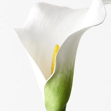 Load image into Gallery viewer, ARTIFICIAL CALLA LILY STEM
