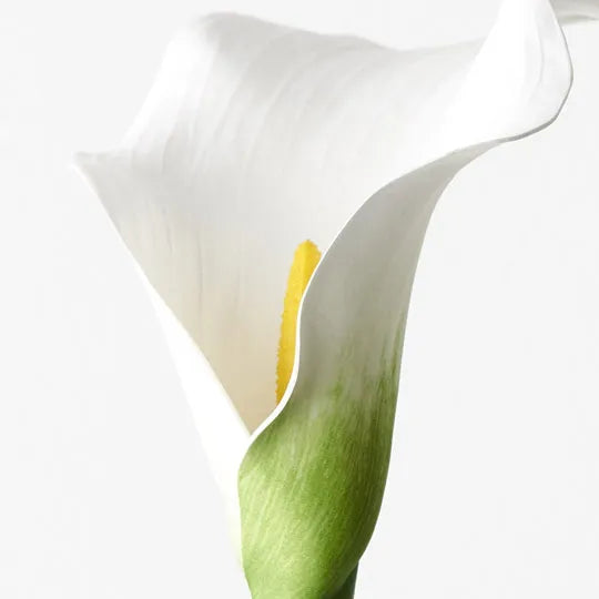 ARTIFICIAL CALLA LILY STEM