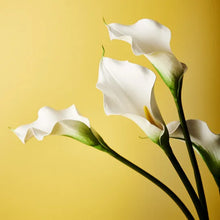 Load image into Gallery viewer, ARTIFICIAL CALLA LILY STEM
