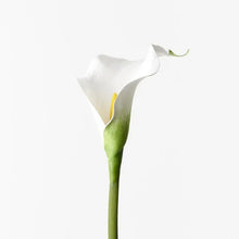 Load image into Gallery viewer, ARTIFICIAL CALLA LILY STEM
