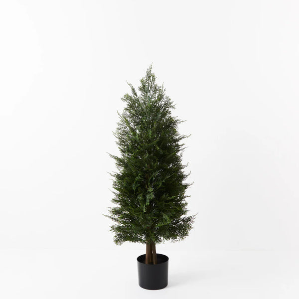 ARTIFICIAL CEDAR TREE Sydney's Plant Market