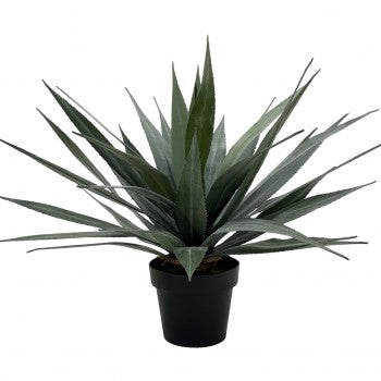 AGAVE ARTIFICIAL