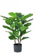 Load image into Gallery viewer, ARTIFICIAL FIDDLE LEAF FIG TREE
