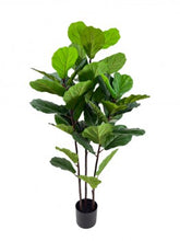 Load image into Gallery viewer, ARTIFICIAL FIDDLE LEAF FIG TREE
