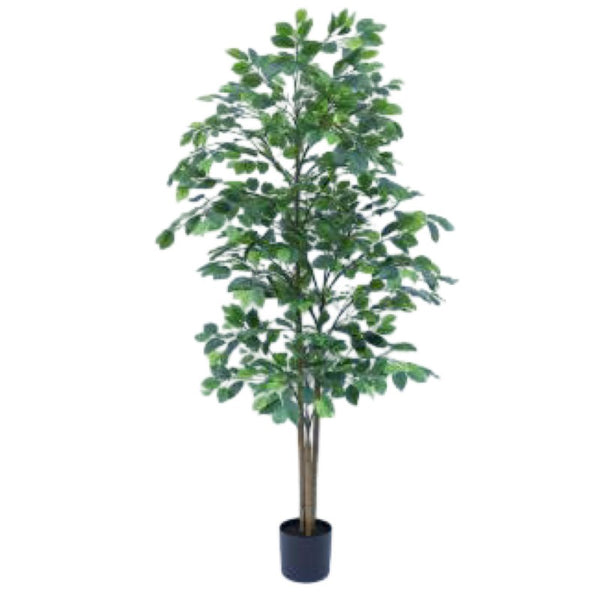 ARTIFICIAL FICUS 180CM