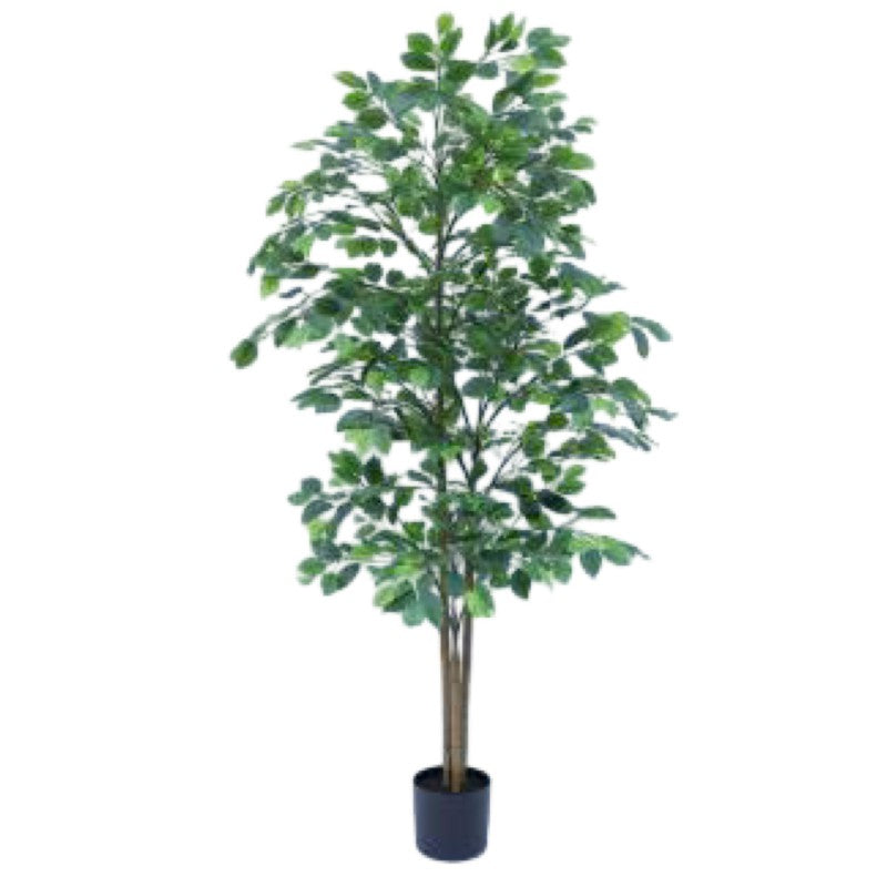 ARTIFICIAL FICUS 180CM