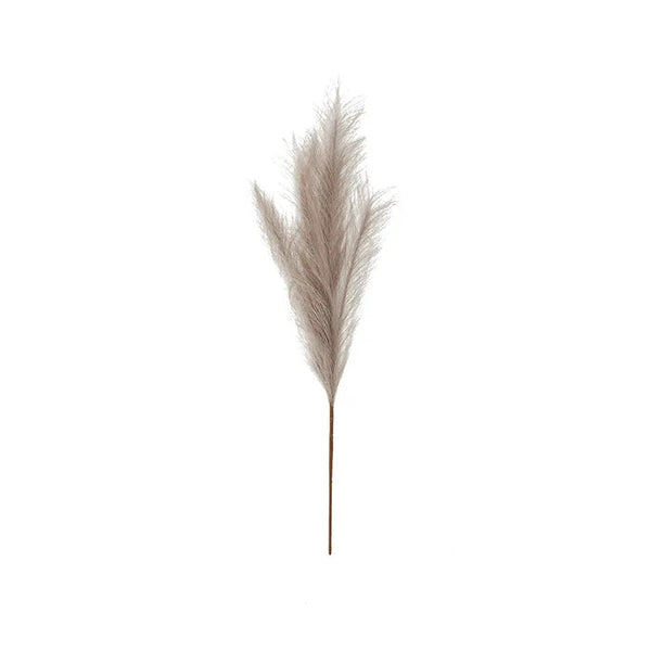 FAUX PAMPASS GRASS MUSHROOM 70CM Sydney's Plant Market