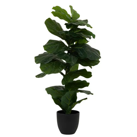 FIDDLE LEAF FIG ARTICFICAL Sydney's Plant Market