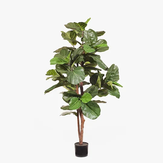 ARTIFICIAL FIDDLE LEAF TREE 183CM