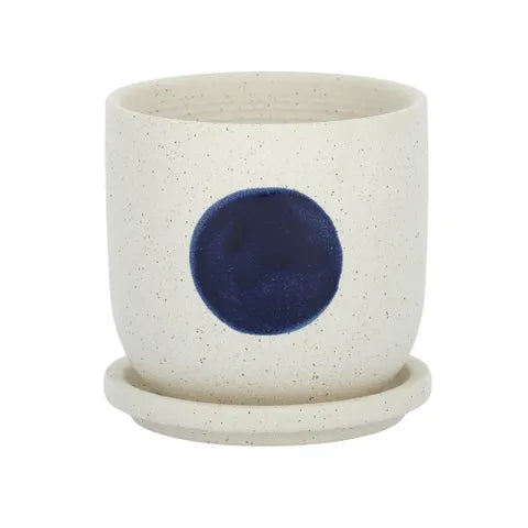 BLOT CER POT W SAUCER 11.5X11.5CM WHITE Sydney's Plant Market