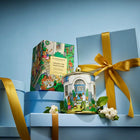GLASSHOUSE CANDLE 380G - UNDER THE MISTLETOE
