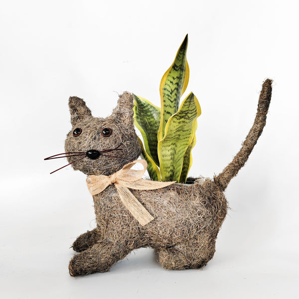 HUSK CAT PLANTER Sydney's Plant Market