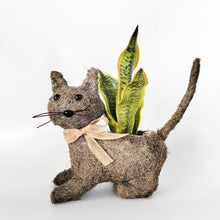 Load image into Gallery viewer, HUSK CAT PLANTER
