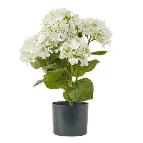HYDRANGEA PLANT 53CM W POT 15X13CM WHITE ARTIFICIAL
