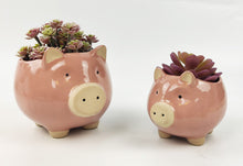 Load image into Gallery viewer, Pig Planter Pink Med 11cm H11x15x12cm
