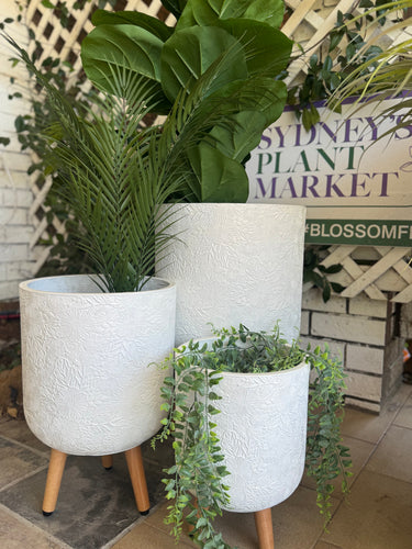 FLORAL TRIPOD WHITE Sydney's Plant Market