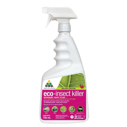 OCP ECO INSECT KILLER RTU 750ML Sydney's Plant Market