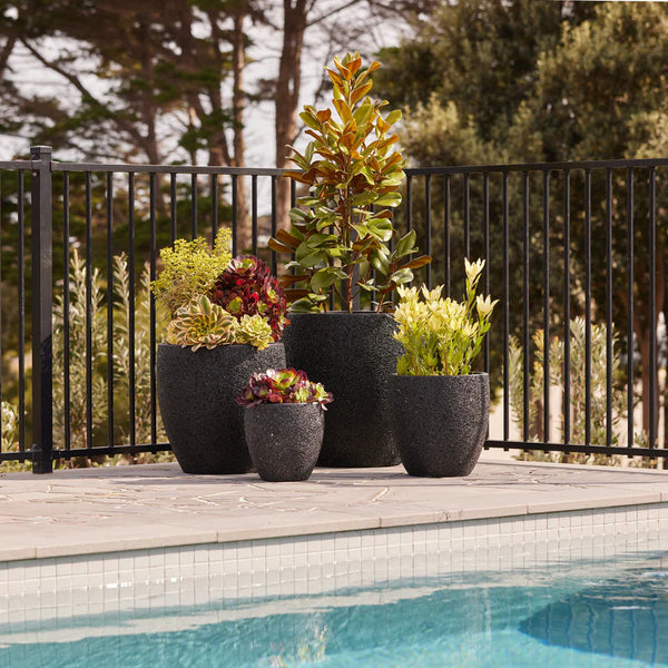 MONTAGUE EGG POT - BLACK PEBBLE - Sydney's Plant Market
