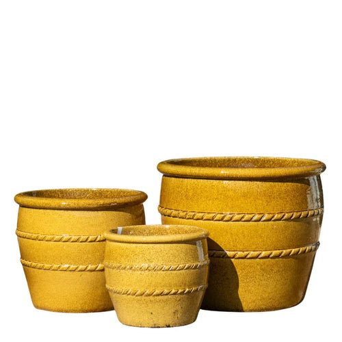MILA POT - MUSTARD Sydney's Plant Market