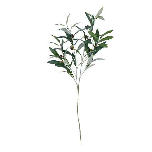 OLIVE STEM W FRUIT 45X125CM GREEN Sydney's Plant Market