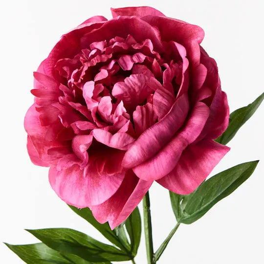 ARTIFICIAL PEONY FUSCHIA STEM Sydney's Plant Market